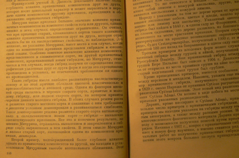 P1410295.JPG