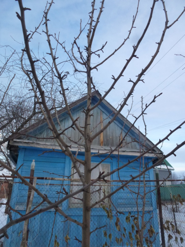 P2030913.JPG