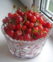 P1010457.JPG