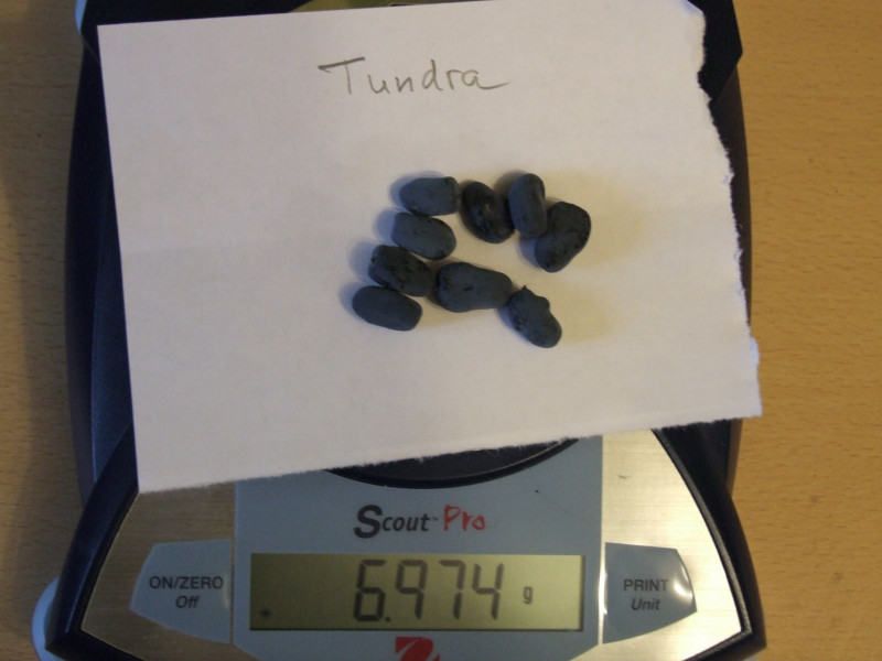 DSCF6856.JPG