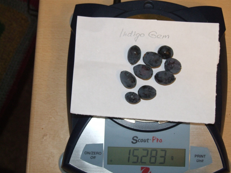 DSCF6851.JPG