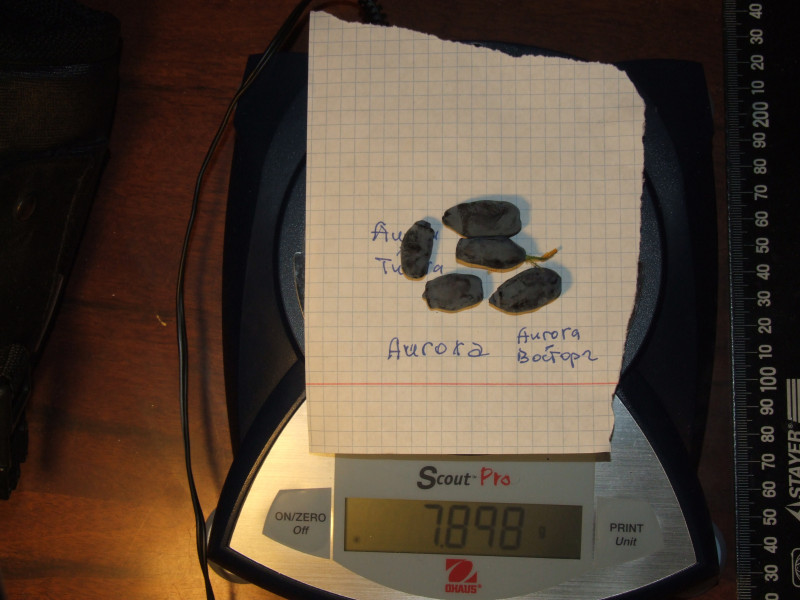 DSCF6920.JPG