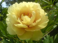 DSC02327.JPG