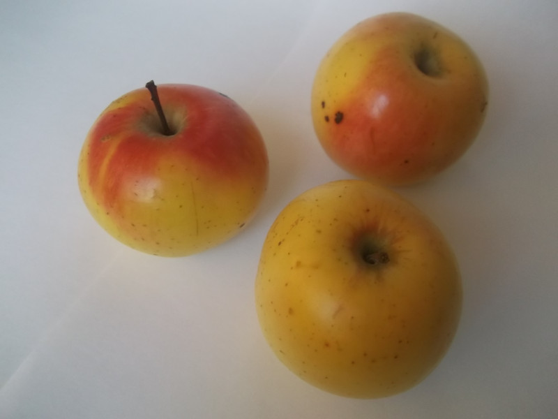 dscf4896.jpg