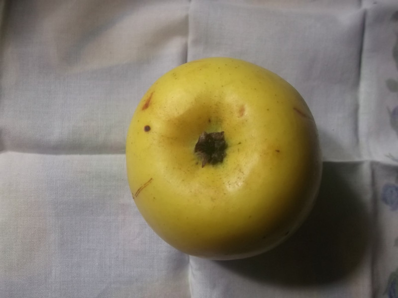 DSCF4933.JPG