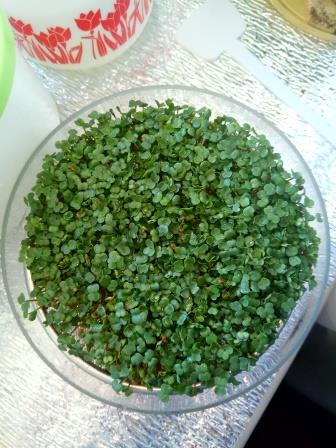 IMG_20181227_140912.jpg