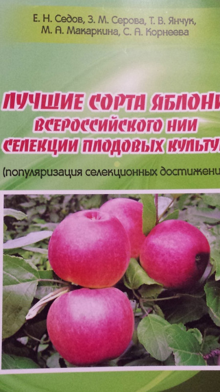 ЛСЯ.jpg