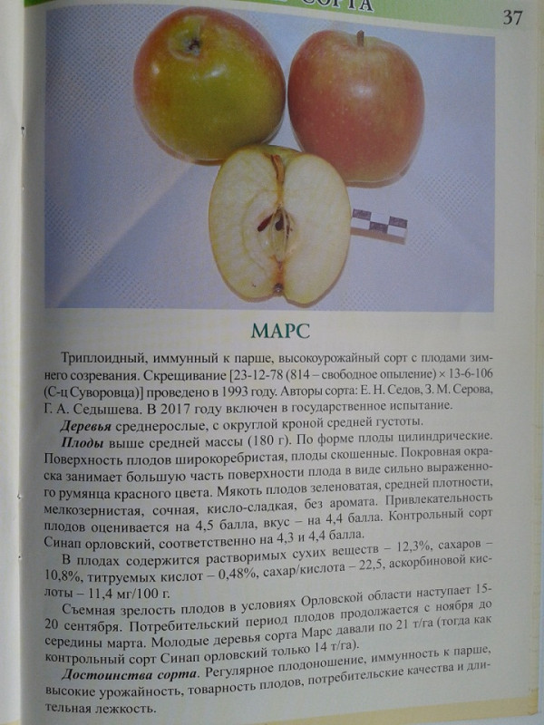 Марс.jpg