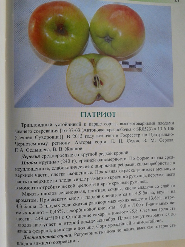 Патриот.jpg