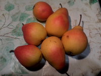 ника 2013.jpg