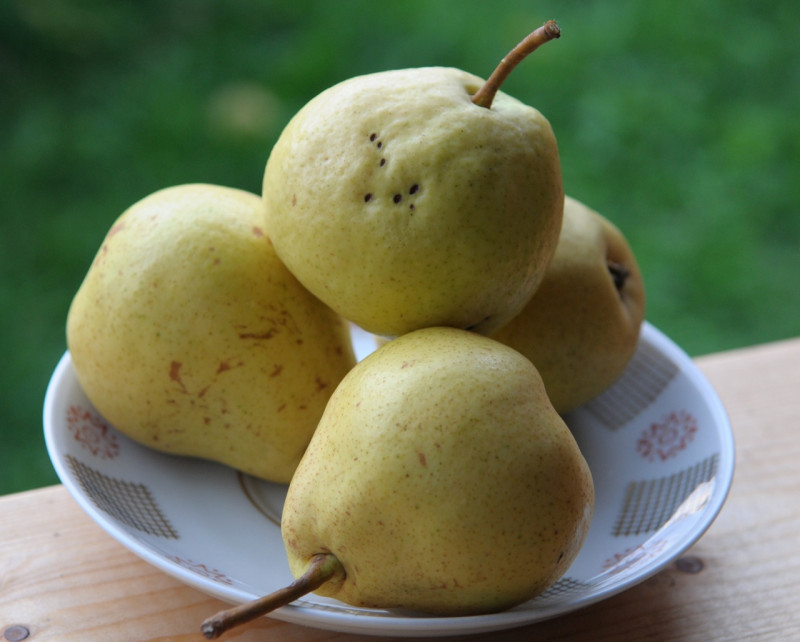 prazdnichnaja_23-08-2013.jpg