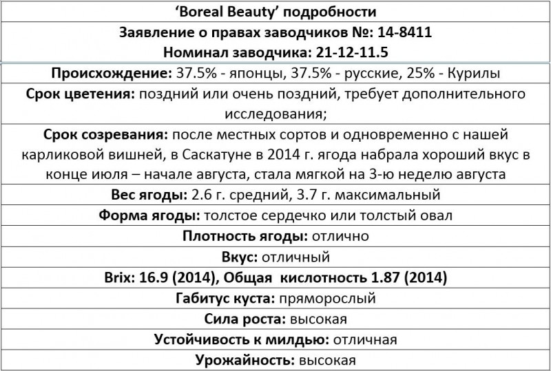 boreal beauty.jpg