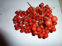 P1030847_new.jpg