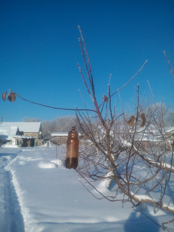 IMG_20190112_124321.jpg