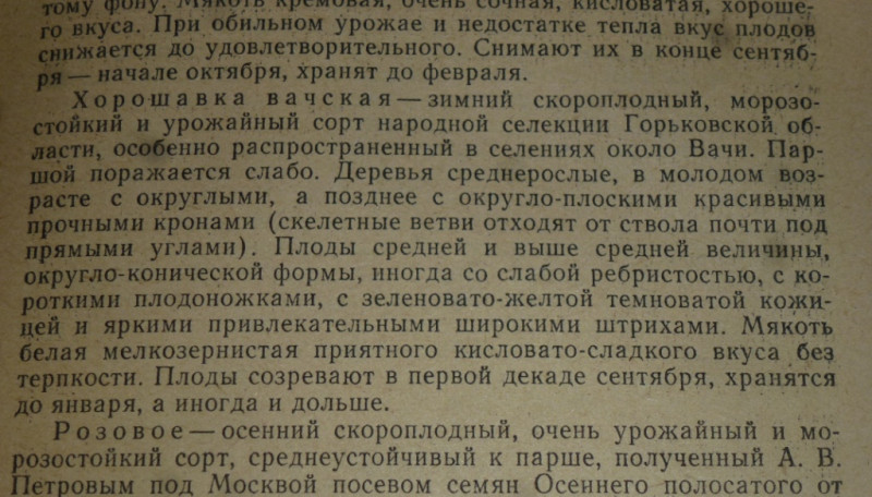 P2040286.JPG