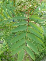 P1030349_new.jpg