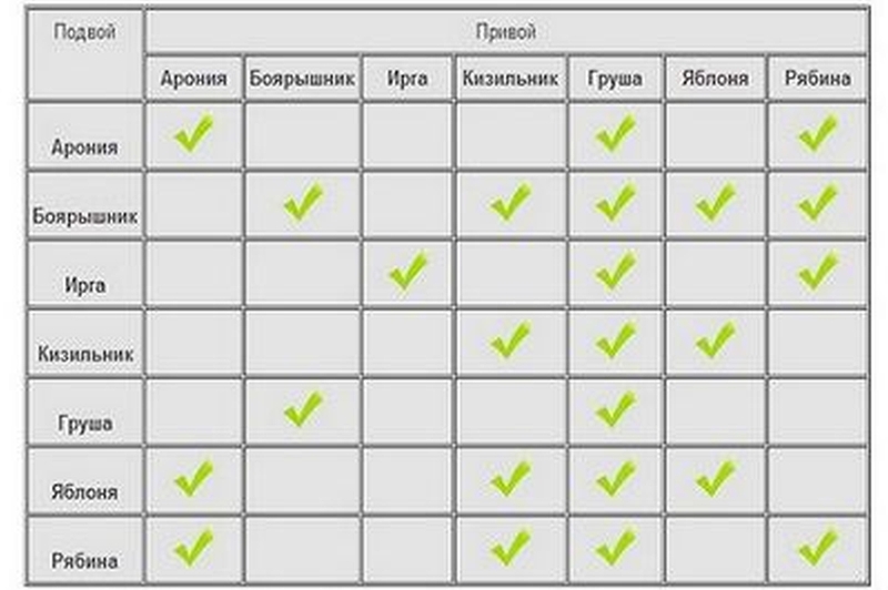 Совместимость.jpg