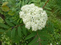 P1030222_new.jpg