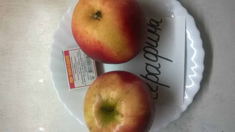 WP_20190113_004.jpg