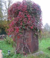 IMG_5496.JPG