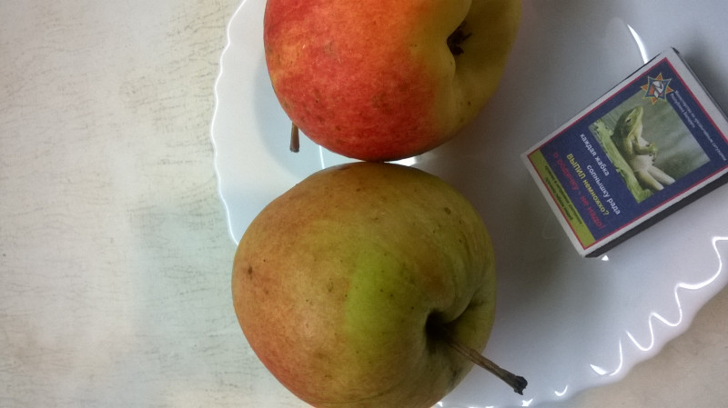 WP_20190112_010.jpg