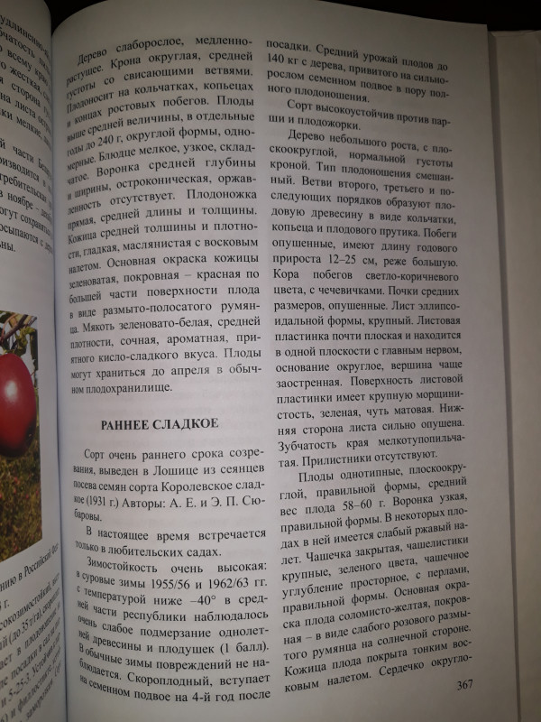 Раннее сладкое-1.jpg