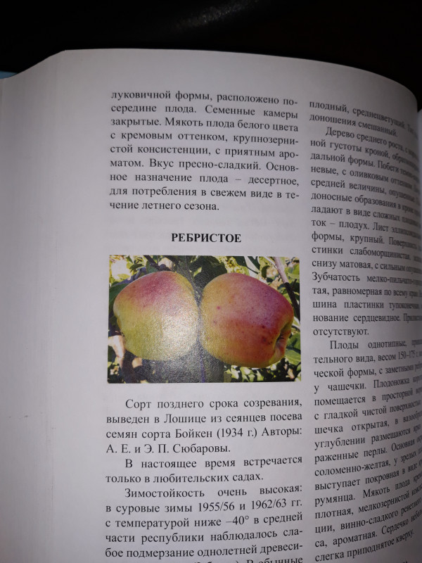 Раннее сладкое-2.jpg