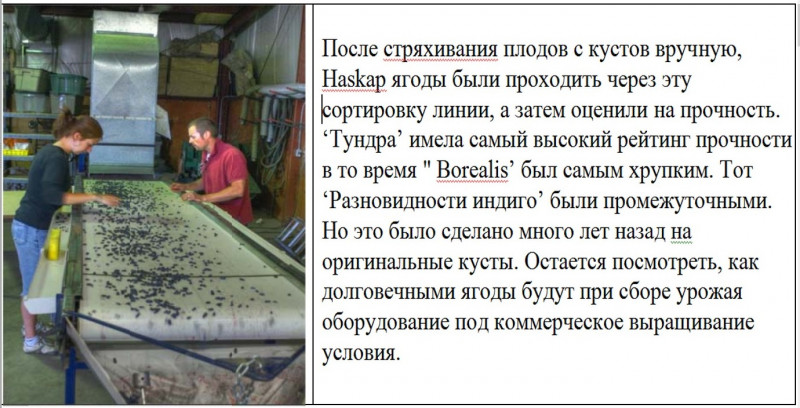 Сортировка.jpg