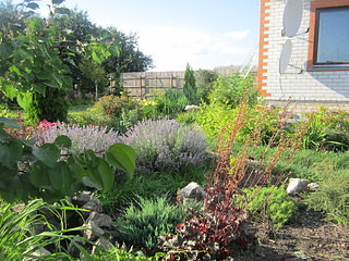 image (15).jpg