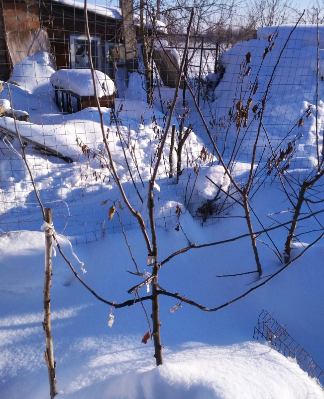 IMG_20190123_180248.jpg