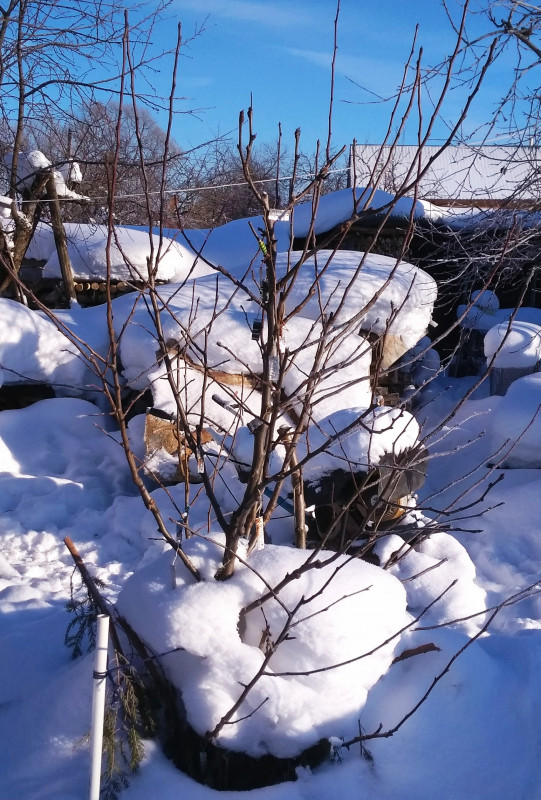 IMG_20190123_180106.jpg