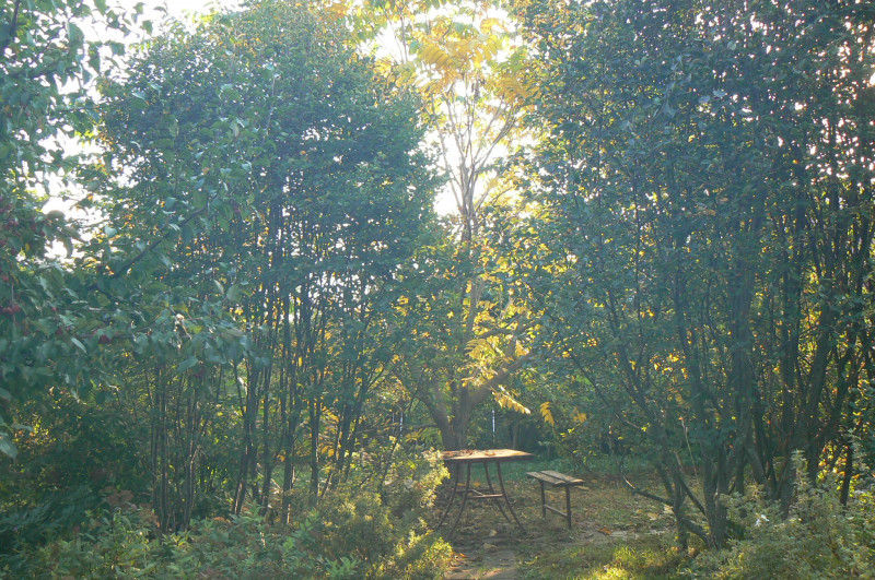 P1400410.JPG