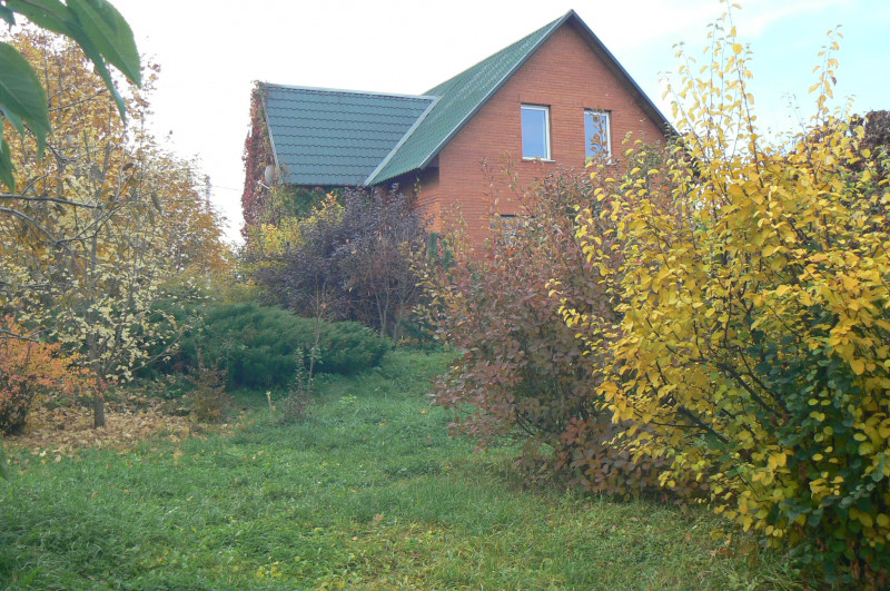 P1400923.JPG