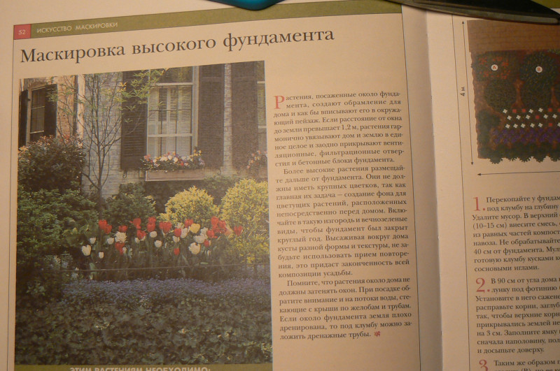 P1410907.JPG