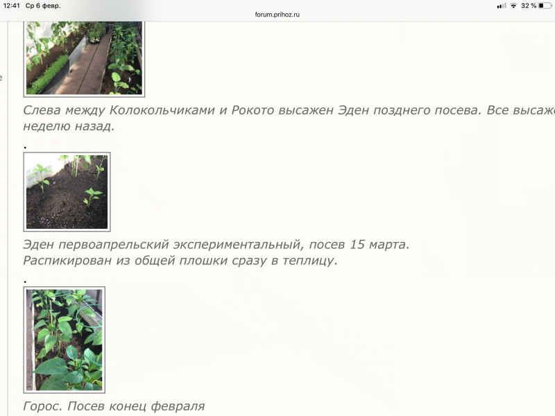 AF1C7ED6-A026-4FBC-BA3D-845AB8C278E3.png