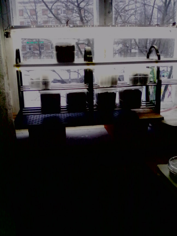 IMG0214A.jpg