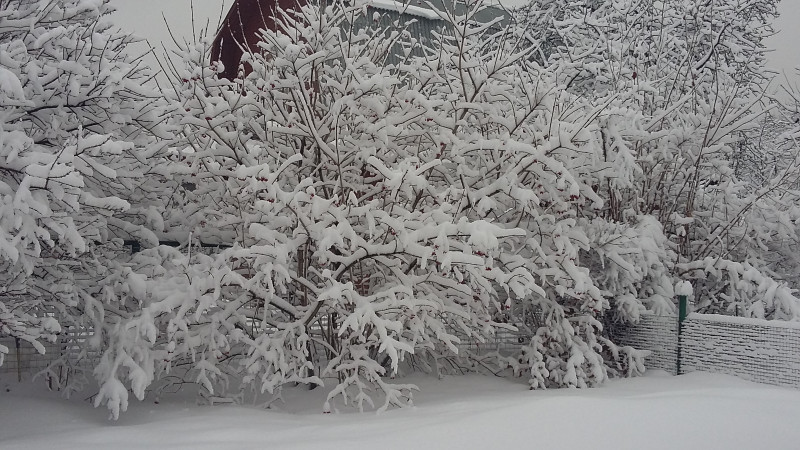 20190213_125628.jpg