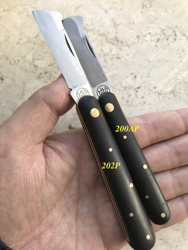 202 P VS AP.jpeg