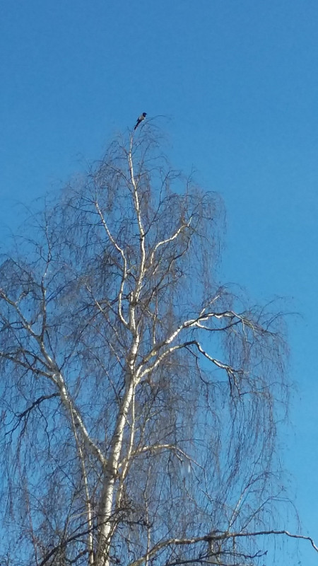 20190219_125118.jpg