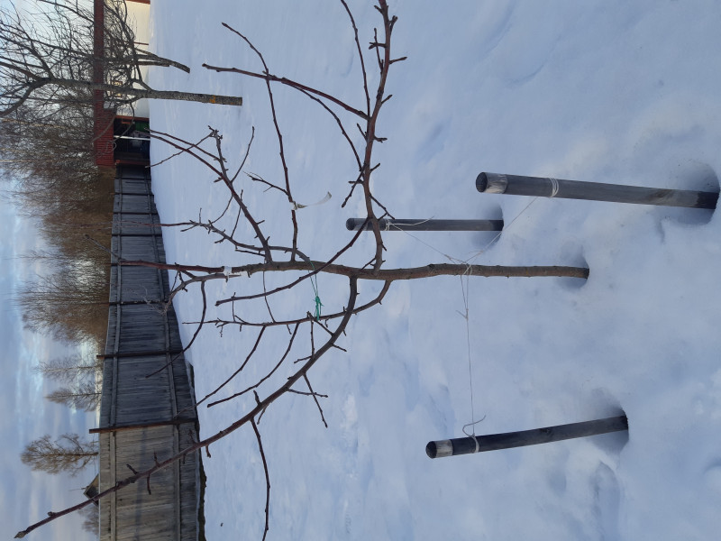 20190226_170157.jpg