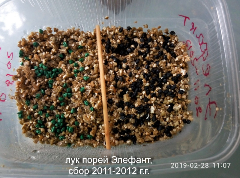 P90228-110708.jpg