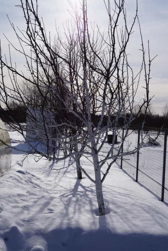 DSC05806.jpg