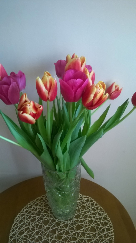 WP_20190308_002.jpg