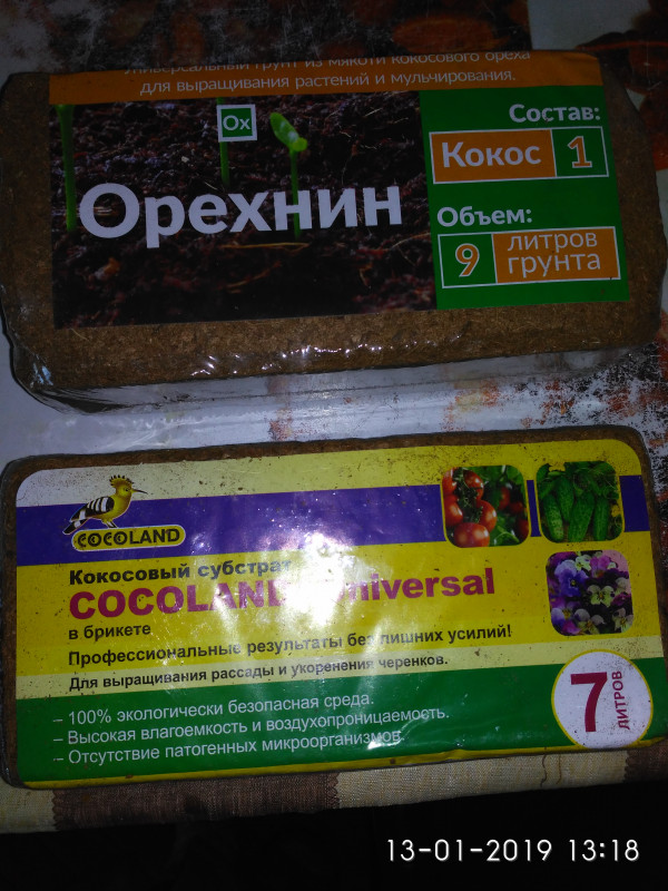 IMG_2019-01-13_131859.jpg