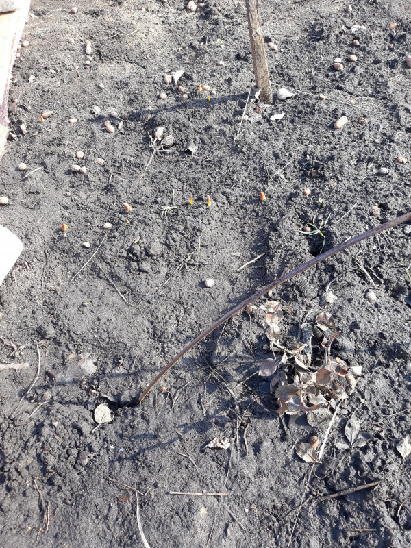 20190310_115241.jpg