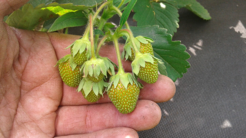 20180628_170528.jpg