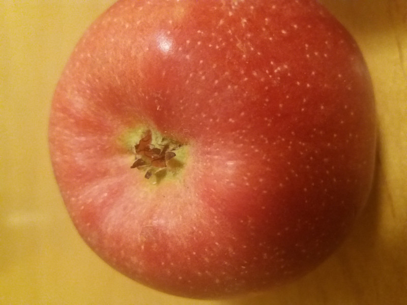 20190314_212656.jpg