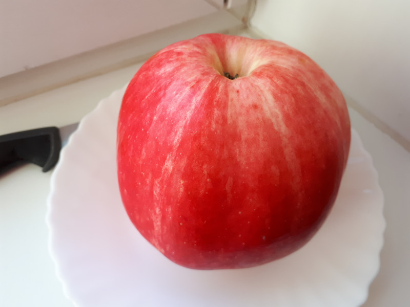 20181007_091149.jpg