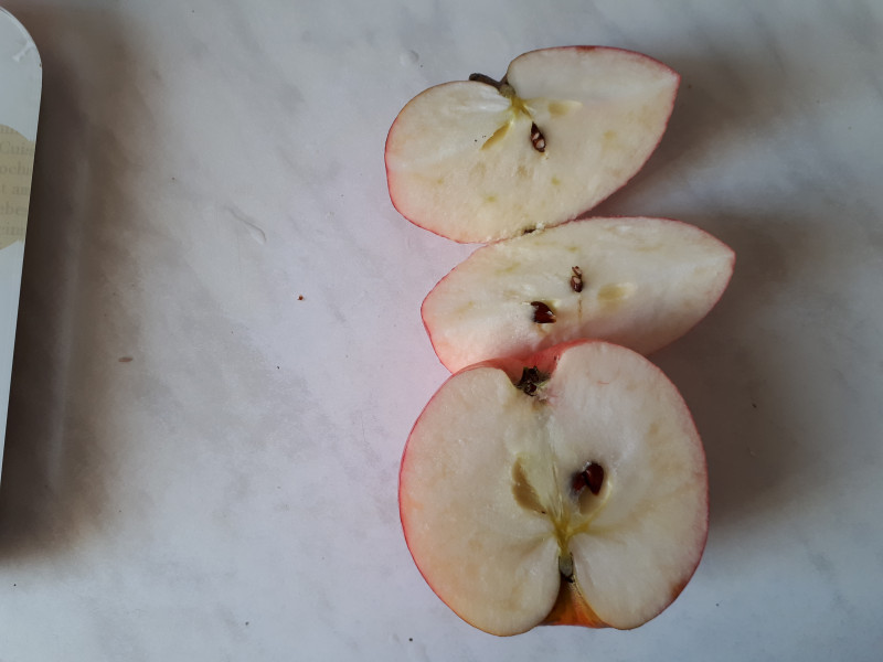 20181002_092524.jpg