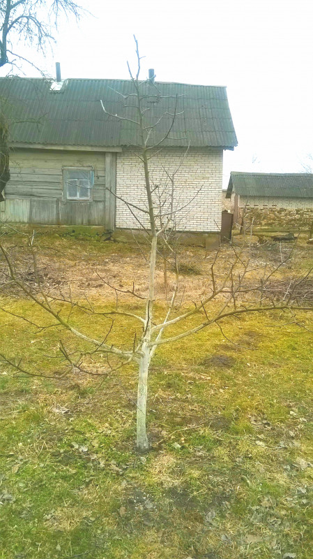 20190320_231336.jpg